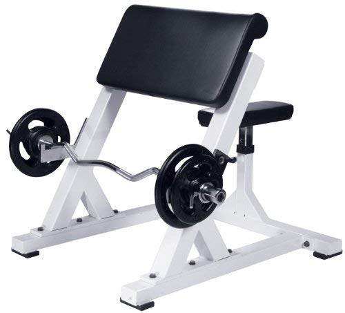 York ST Preacher Curl